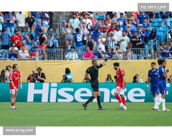 本菲卡：葡萄牙超级联赛劲旅展现辉煌历史与未来潜力